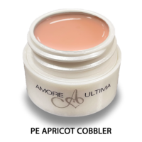 PE Apricot Cobbler