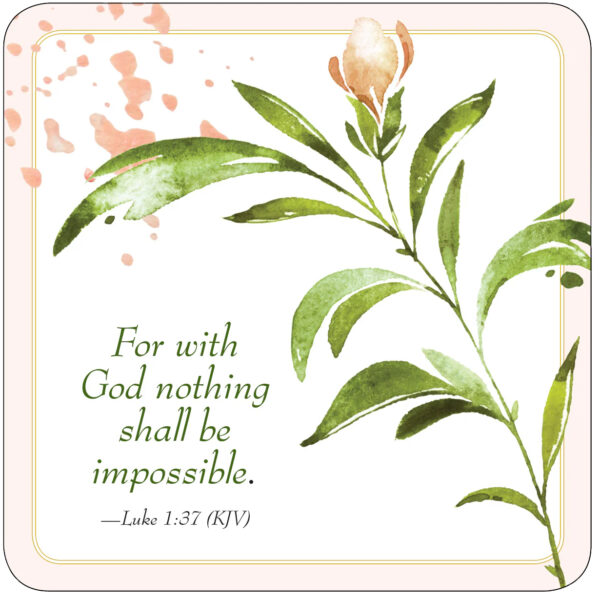 Insight Cards-The Good Word 50pk - Image 8